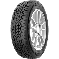 Snowmaster 2 195/55R16 87H