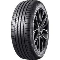 Winrun R330 225/55R18 98V