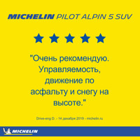 Michelin Pilot Alpin 5 SUV 255/45R21 106V Image #13