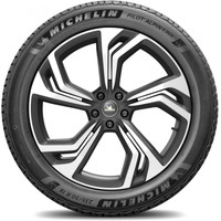 Michelin Pilot Alpin 5 SUV 255/45R21 106V Image #5