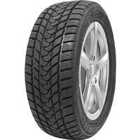 Winter WD1 165/70R14 81T