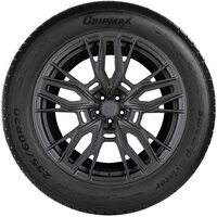 Gripmax SureGrip eWinter 215/40R17 87V Image #2