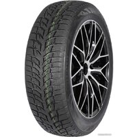 Autogreen Snow Chaser 2 AW08 205/50R17 93H