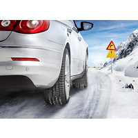 Continental ContiWinterContact TS 830 P 195/65R15 91T Image #4