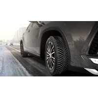 Michelin CrossClimate 2 235/55R19 105H Image #10