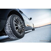 Ikon Tyres Hakkapeliitta 9 205/55R16 94T Image #2