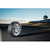 Michelin Alpin 5 225/55R17 97H (run-flat) Image #6