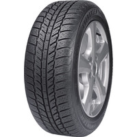 Evergreen EW62 205/65R16 95H