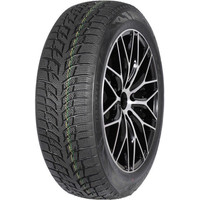 Autogreen Snow Chaser 2 AW08 205/60R16 92H