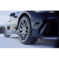 Pirelli P Zero Winter 245/45R20 103V Image #4
