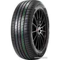 DoubleStar DH08 205/60R16 92H