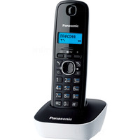 Panasonic KX-TG1611RUF Image #13