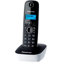 Panasonic KX-TG1611UAW Image #1