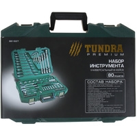 Tundra 881827 (80 предметов) Image #3