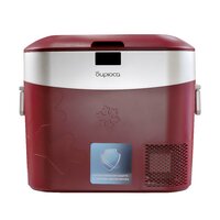 Бирюса НС-22P3 Image #2