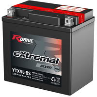 RDrive eXtremal Silver YTX5L-BS (4.6 А·ч)