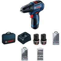 Bosch GSR 12V-30 Professional 06019G9001 (с 2-мя АКБ, сумка, набор оснастки)