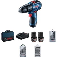 Bosch GSB 12V-30 Professional 06019G9101 (с 2-мя АКБ 2 Ач, набор оснастки, сумка)