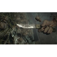 Resident Evil 7: Biohazard для PlayStation 4 Image #21