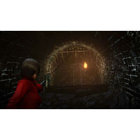 Resident Evil 6 для PlayStation 4 Image #10