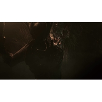 Bloodborne: Порождение крови. Game of the Year Edition для PlayStation 4 Image #14
