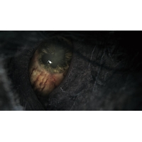 Bloodborne: Порождение крови. Game of the Year Edition для PlayStation 4 Image #8