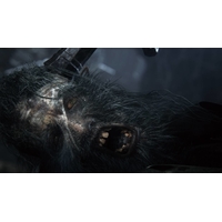 Bloodborne: Порождение крови. Game of the Year Edition для PlayStation 4 Image #9