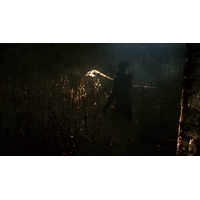 Bloodborne: Порождение крови. Game of the Year Edition для PlayStation 4 Image #3