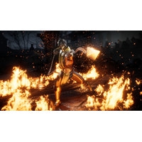 Mortal Kombat 11 для PlayStation 4 Image #5