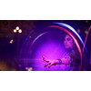 inFAMOUS: Второй сын для PlayStation 4 Image #14