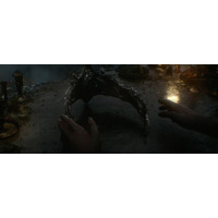 Dark Souls 3 для PlayStation 4 Image #5