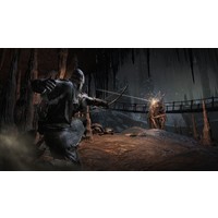Dark Souls 3 для PlayStation 4 Image #13