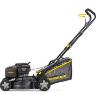 Champion LM4222