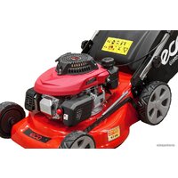 ECO LG-432 Image #4