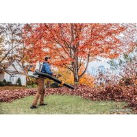 STIHL BR 800 C-E Image #6