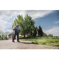 STIHL BR 800 C-E Image #7
