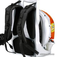 STIHL BR 800 C-E Image #3