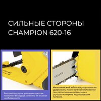 Champion 620-16 Image #2