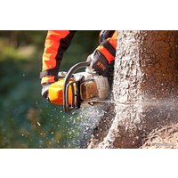 STIHL MS 362 Image #3