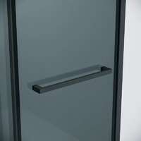 Grossman Style 100x80x195 120.K33.05.1080.21.10 (черный матовый/тонированное стекло) Image #2