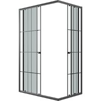 Niagara Eco NG-1018-14QKL 100x80x190 (черный/стекло клетка) Image #2