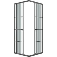 Niagara Eco NG-1008-14QKL 80x80x190 (черный/стекло клетка) Image #2