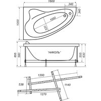 Triton Николь 160x100R (с каркасом, экраном и сифоном) Image #5