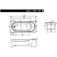 Ventospa Aqua 170x75 (с ножками и экраном) Image #3