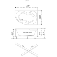 Triton Мари 170x110 R Люкс Flat (с гидромассажем) Image #2