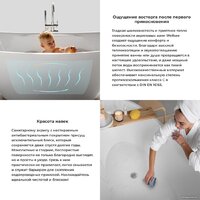 Wellsee FR.Euphoria 166x77,5 230101002 (отдельностоящая ванна белый глянец, экран, ножки золото) Image #6