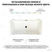 Wellsee FR.Euphoria 166x77,5 230101002 (отдельностоящая ванна белый глянец, экран, ножки золото) Image #7