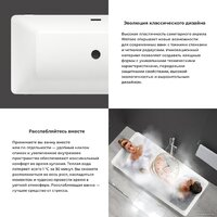 Wellsee FR.Euphoria 166x77,5 230101002 (отдельностоящая ванна белый глянец, экран, ножки золото) Image #5