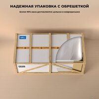 Wellsee FR.Euphoria 166x77,5 230101002 (отдельностоящая ванна белый глянец, экран, ножки золото) Image #9