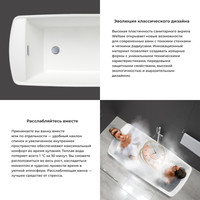 Wellsee Idéal 170x78 236901003 (отдельностоящая ванна белый глянец, экран, ножки, сифон-автомат матовый черный) Image #5